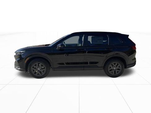 Used 2026 Honda CR-V TrailSport image 5