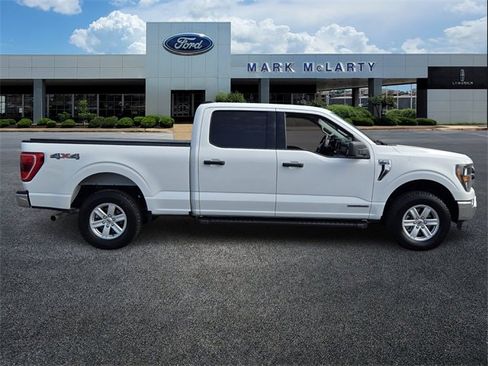 Certified 2023 Ford F150 XLT w/ Equipment Group 301A Mid image 6