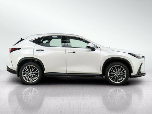 Used 2025 Lexus NX 350 AWD w/ Cold Area Package image 6