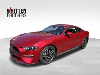 Used 2022 Ford Mustang Coupe w/ Equipment Group 101A RWD video 1