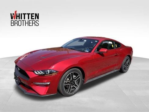 Used 2022 Ford Mustang Coupe w/ Equipment Group 101A RWD image 1