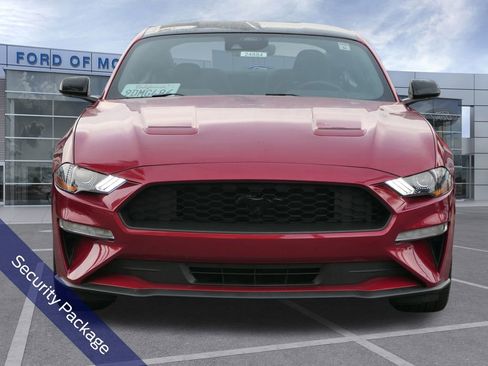 Used 2022 Ford Mustang Coupe w/ Equipment Group 101A image 9