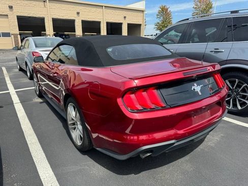 Used 2018 Ford Mustang Premium w/ Equipment Group 201A RWD image 4