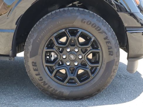 Used 2025 Ford F150 XLT w/ Equipment Group 302A MID RWD image 10