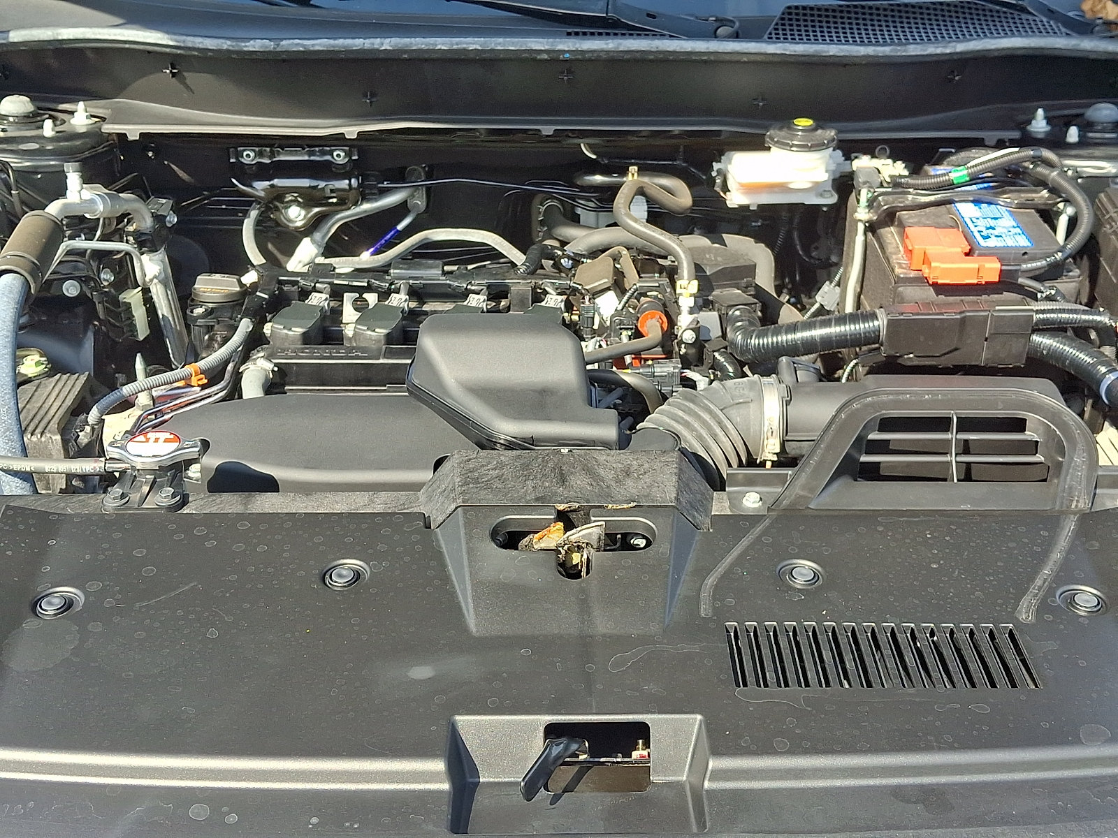 Certified 2024 Honda CR-V LX image 28