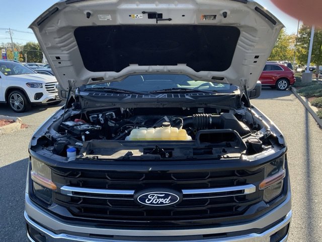 Used 2025 Ford F150 XLT w/ Equipment Group 301A Standard AWD/4WD image 20