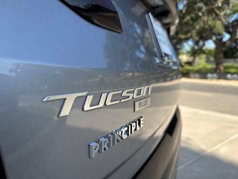 Used 2025 Hyundai Tucson Blue AWD/4WD image 12