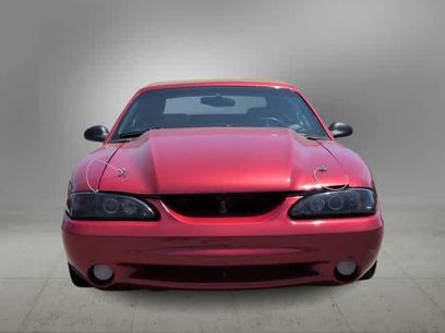 Used 1998 Ford Mustang Cobra