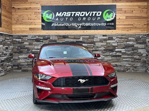 Used 2019 Ford Mustang Convertible w/ Equipment Group 101A RWD image 2