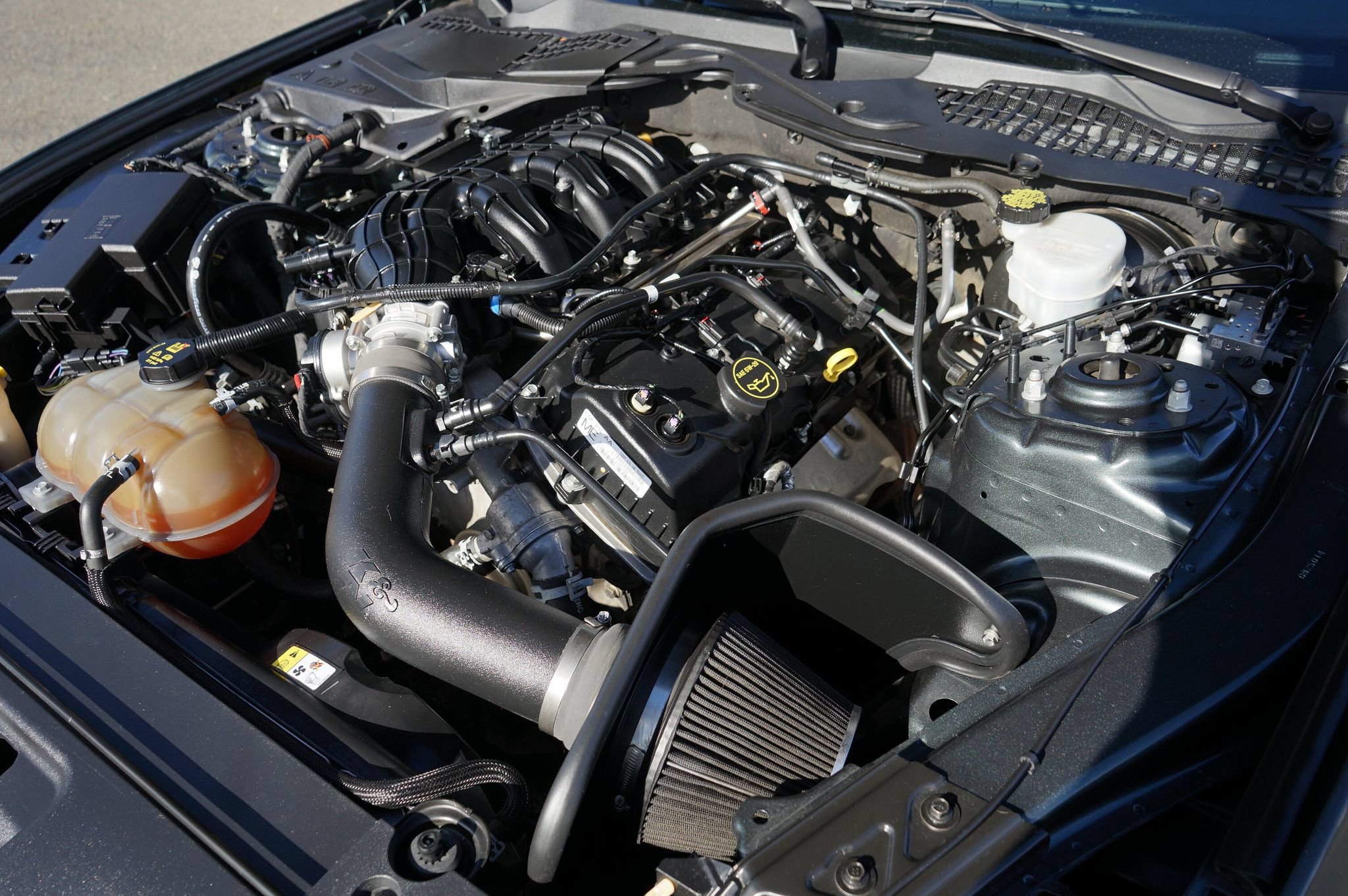 Used 2015 Ford Mustang Coupe w/ Equipment Group 051A RWD image 11