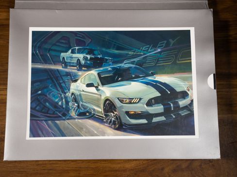 Used 2016 Ford Mustang Shelby GT350R w/ GT350R Equipment Group 920A RWD image 35