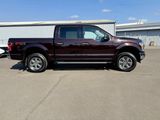 Used 2018 Ford F150 XLT w/ Equipment Group 302A Luxury image 4