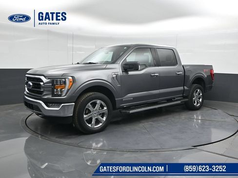 Used 2021 Ford F150 XLT w/ Equipment Group 302A High AWD/4WD image 6