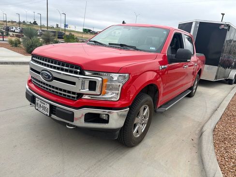 Used 2019 Ford F150 XLT w/ Equipment Group 302A Luxury AWD/4WD image 1