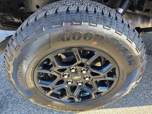 Used 2025 Ford F150 XLT w/ Equipment Group 301A Standard image 10