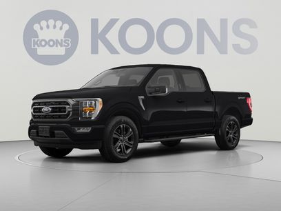 Used 2023 Ford F150 XLT w/ Equipment Group 302A High