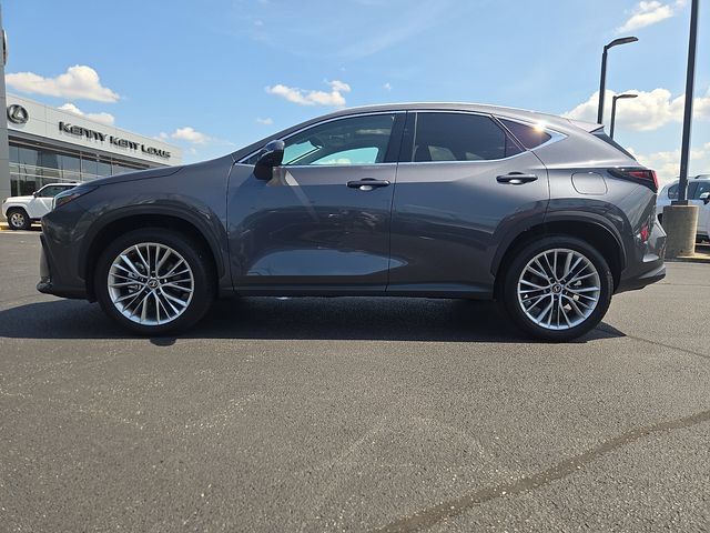 Certified 2026 Lexus NX 350 AWD w/ Accessory Package (2T) image 6