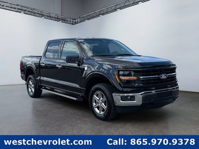 Used 2025 Ford F150 XLT w/ Equipment Group 301A Standard