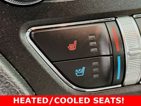 Used 2015 Ford Mustang 50 Years image 21