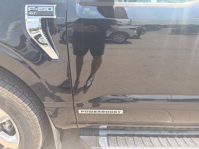 Certified 2023 Ford F150 XLT w/ Equipment Group 302A High AWD/4WD image 7