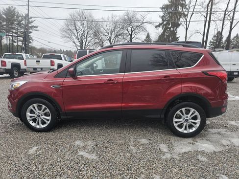 Used 2019 Ford Escape SEL image 5