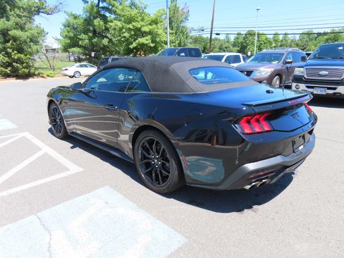 Used 2025 Ford Mustang GT Premium w/ Mustang Nite Pony Package RWD image 11
