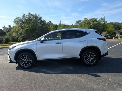 Certified 2024 Lexus NX 250 FWD image 7