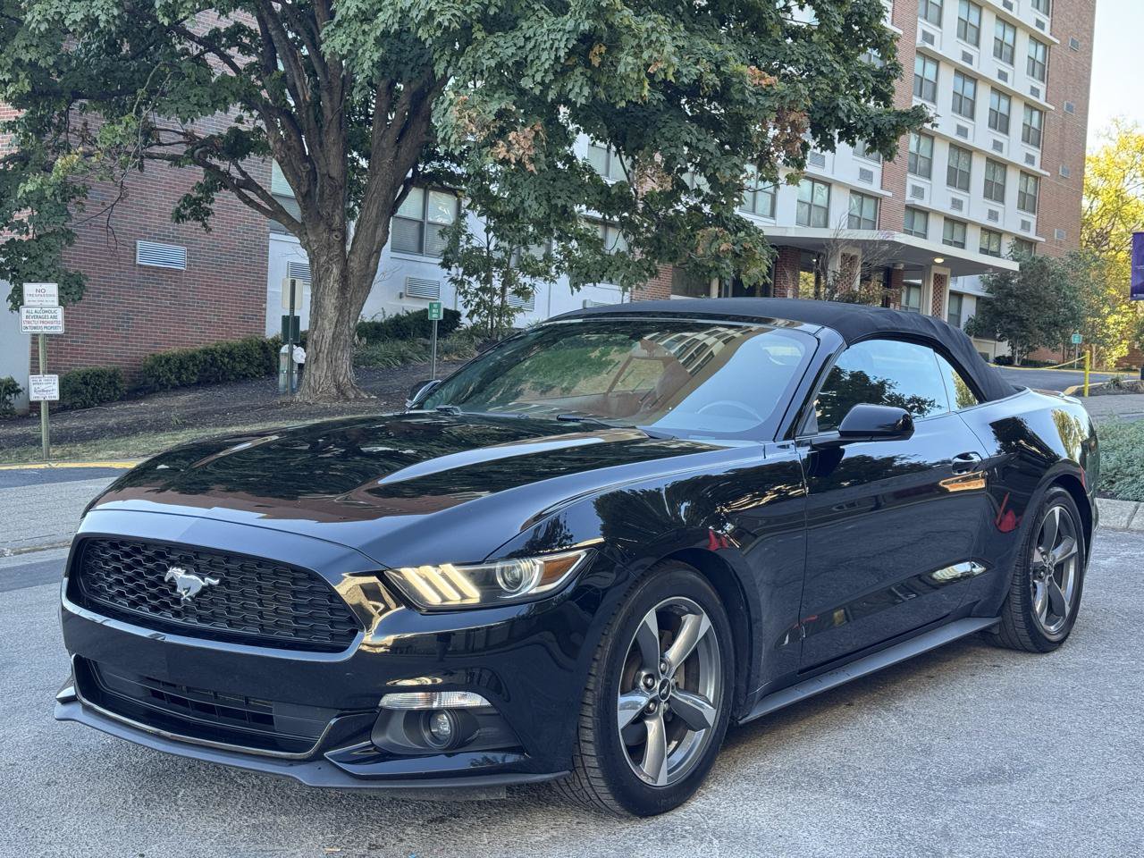 Used 2016 Ford Mustang Convertible w/ Equipment Group 051A RWD image 5