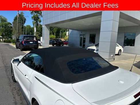 Used 2019 Ford Mustang Premium w/ Equipment Group 201A RWD image 3