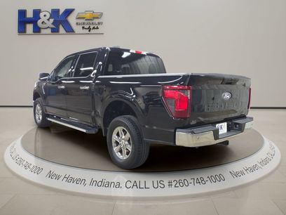 Used 2025 Ford F150 XLT w/ Equipment Group 301A Standard