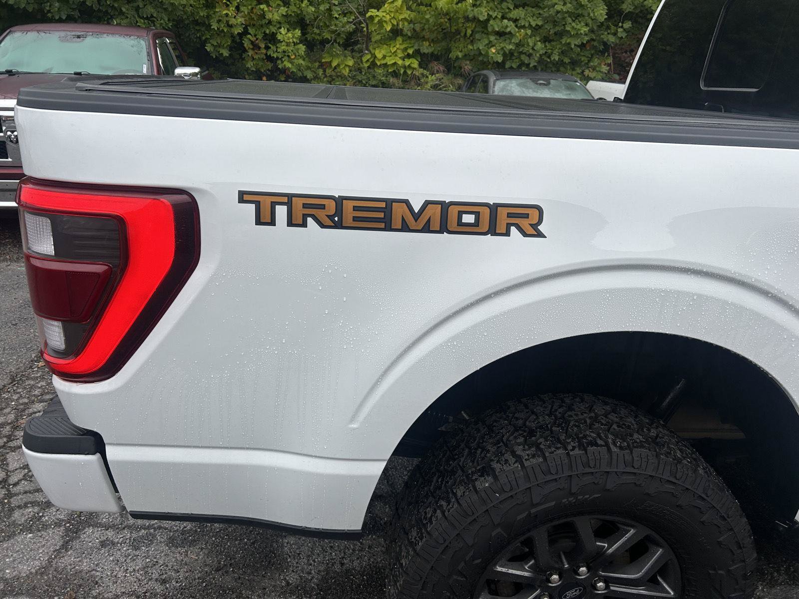 Used 2023 Ford F150 Tremor w/ Equipment Group 402A High AWD/4WD image 11