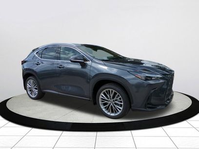 New 2025 Lexus NX 350 AWD w/ Premium Package