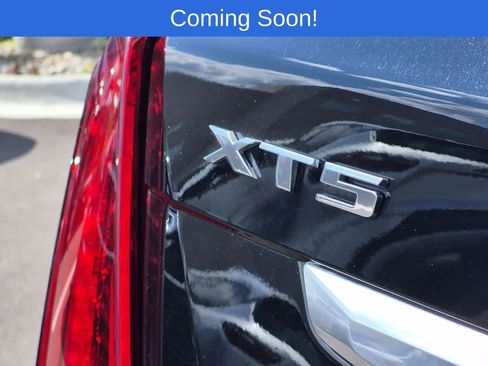 Used 2024 Cadillac XT5 Premium Luxury AWD/4WD image 12