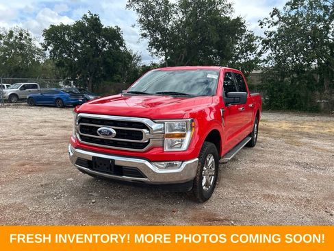 Used 2023 Ford F150 XLT w/ Equipment Group 301A Mid RWD image 7