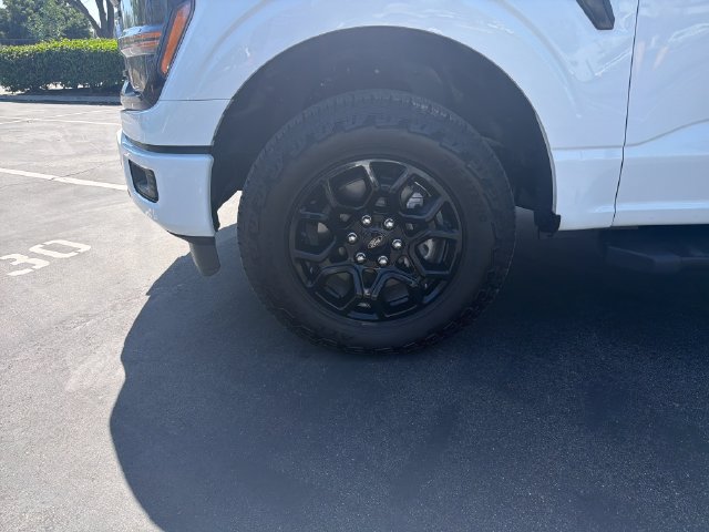Used 2025 Ford F150 XLT w/ Equipment Group 301A Standard AWD/4WD image 20
