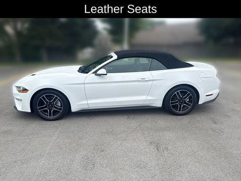 Used 2018 Ford Mustang Premium RWD image 2