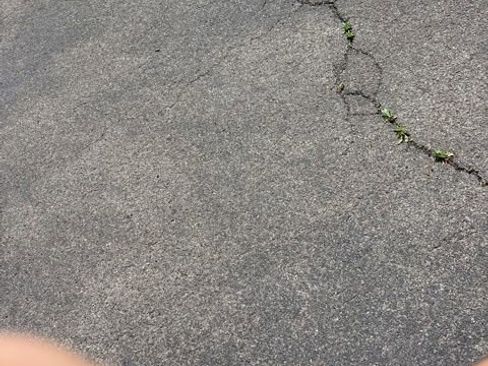 Used 2024 Honda CR-V EX image 3