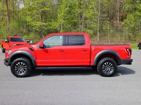 Used 2019 Ford F150 Raptor w/ Equipment Group 802A Luxury AWD/4WD image 7