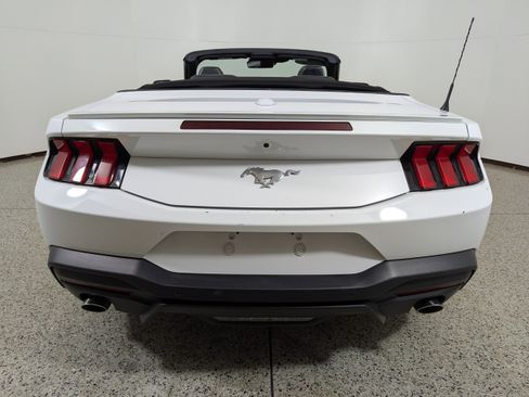 Used 2024 Ford Mustang Premium image 6