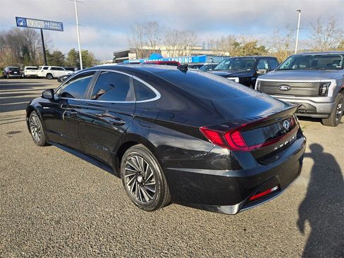 Used 2020 Hyundai Sonata Limited image 5