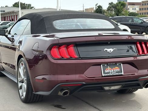 Used 2018 Ford Mustang Premium w/ Equipment Group 201A RWD image 3