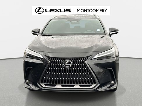 Used 2025 Lexus NX 300h AWD w/ Luxury Package image 9