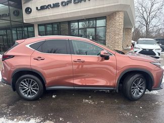 Certified 2025 Lexus NX 350 AWD w/ Cold Area Package video 2