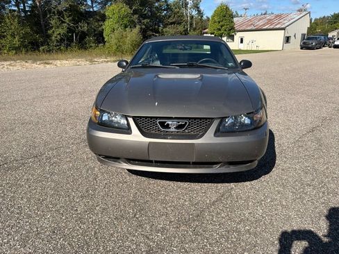 Used 2002 Ford Mustang Convertible RWD image 7
