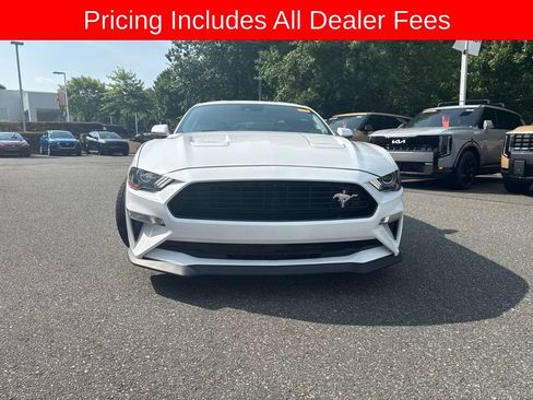 Used 2019 Ford Mustang GT Premium w/ Equipment Group 401A RWD image 3
