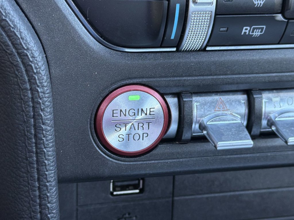 Certified 2019 Ford Mustang GT w/ Equipment Group 301A RWD image 18