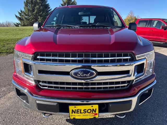 Used 2019 Ford F150 XLT w/ Equipment Group 302A Luxury AWD/4WD image 8