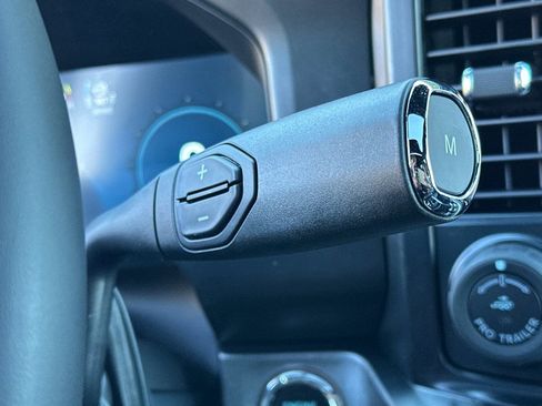 New 2026 Ford F250 Platinum w/ Tremor Off-Road Package image 19