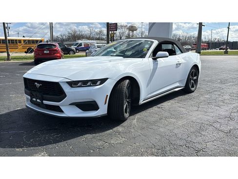 Used 2024 Ford Mustang Premium RWD image 3