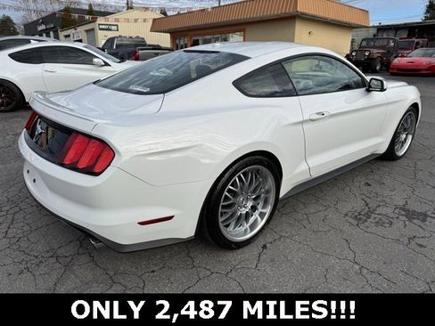 Used 2015 Ford Mustang Premium image 2